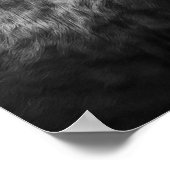 Longhorn Kuh Fotografie Print Poster (Ecke)