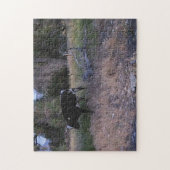 Longhorn Kuh in der Weide Puzzle (Vertikal)