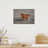 Longhorn Kuh in Weide Poster (Küche)