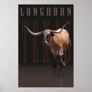 Longhorn Legacy Poster -40x60 -andere Größen