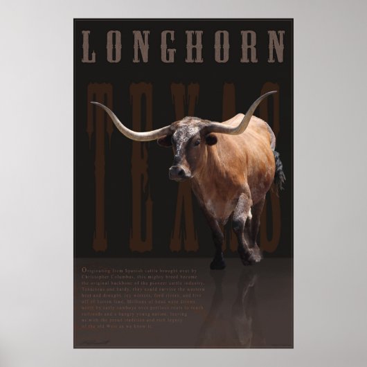 Longhorn Legacy Poster -40x60 -andere Größen (Vorne)