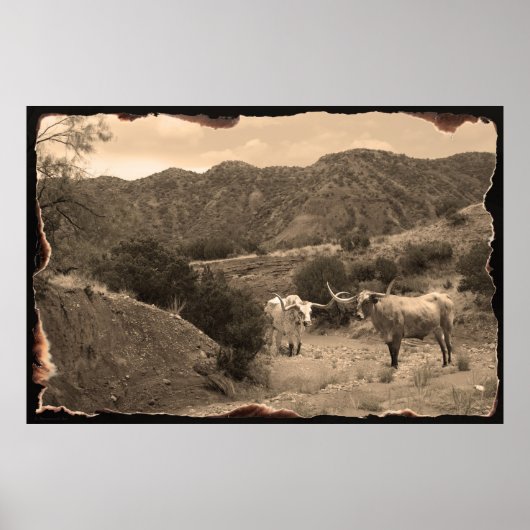 Longhorn Ravine Sepia Poster -60x40 (Vorne)