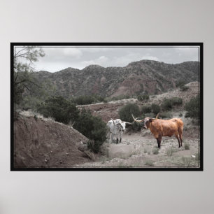 Longhorn Ravine Spot Color Poster -60x40