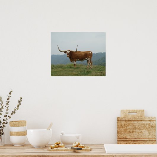 Longhorn Steer in Ozarks - wählen Sie Größe & Lein Poster (Küche)