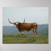 Longhorn Steer in Ozarks - wählen Sie Größe & Lein Poster (Vorne)