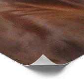 Longhorn Steer Poster (Ecke)