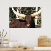 Longhorn Steer Poster (Küche)