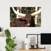 Longhorn Steer Poster (Heimbüro)