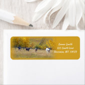 Longhorn Steers Rücksendeadresse (Insitu)