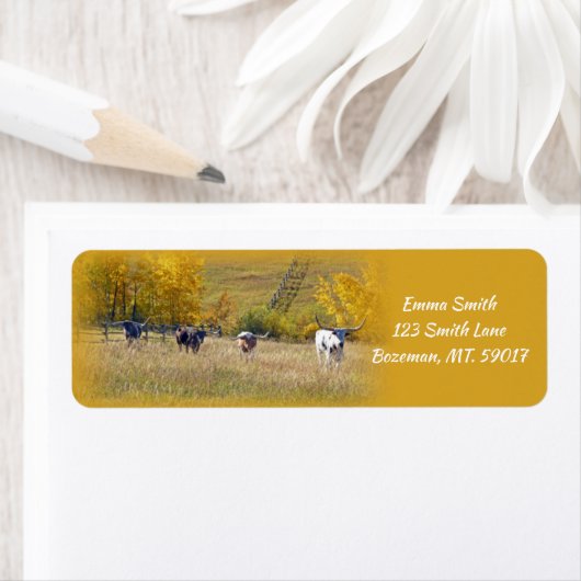 Longhorn Steers Rücksendeadresse (Insitu)