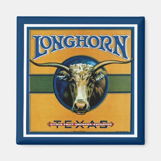 Longhorn Texas Magnet (Vorne)