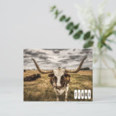 Longhorn Texas Postcard Postkarte (Stehend Vorderseite)
