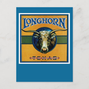 Longhorn Texas Postkarte
