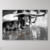 Longhorn und Goldfish Poster (Vorne)