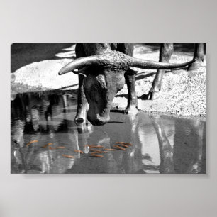 Longhorn und Goldfish Poster