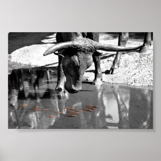 Longhorn und Goldfish Poster (Vorne)