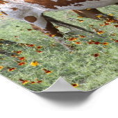 Longhorns Poster (Ecke)