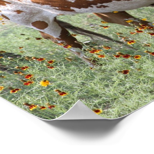 Longhorns Poster (Ecke)