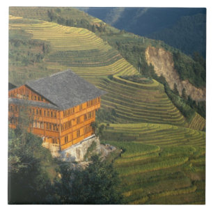 Longji, Provinz Guangxi, China Fliese