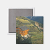 Longji, Provinz Guangxi, China Magnet (Vorderseite/Rückseite)