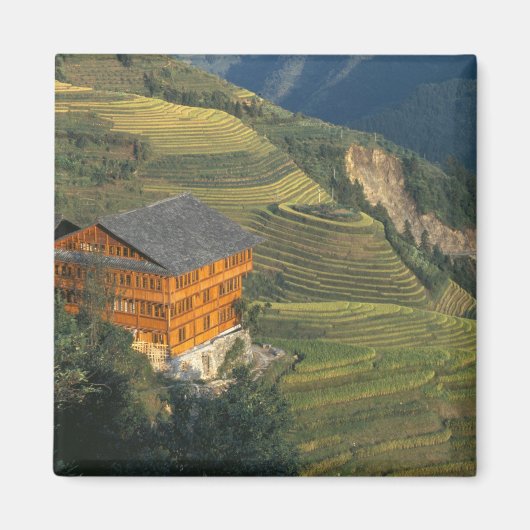 Longji, Provinz Guangxi, China Magnet (Vorne)