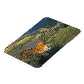 Longji, Provinz Guangxi, China Magnet (Linke Seite)