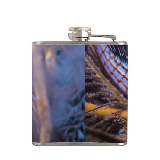 Longnose Flachmann (Rückseite)