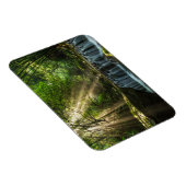 Longquan Glamour Creek Magnet (Rechte Seite)