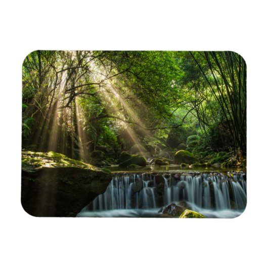 Longquan Glamour Creek Magnet (Horizontal)