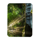 Longquan Glamour Creek Magnet (Vertikal)