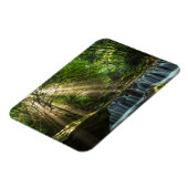 Longquan Glamour Creek Magnet (Linke Seite)