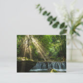 Longquan Glamour Creek Postkarte (Stehend Vorderseite)