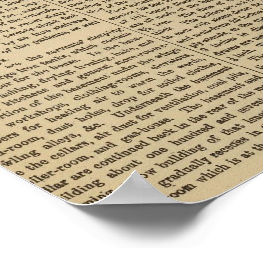 Longview Asylum, Ohio Poster (Ecke)