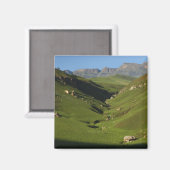 Longwall, Riesenburg, Drakensberg, Magnet (Vorderseite/Rückseite)