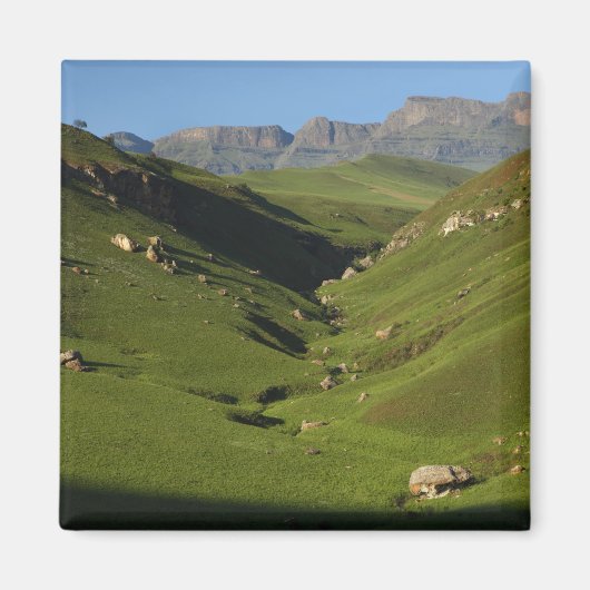 Longwall, Riesenburg, Drakensberg, Magnet (Vorne)