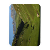 Longwall, Riesenburg, Drakensberg, Magnet (Vertikal)
