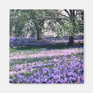 Longwood Gardens im Frühjahr Magnet