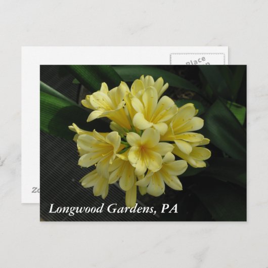 Longwood Gardens, PA Postkarte (Vorne/Hinten)
