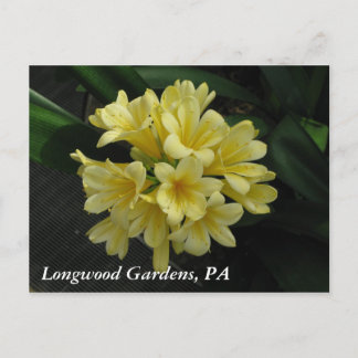 Longwood Gardens, PA Postkarte
