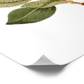 Lonicera periclymenum (Honeysuckle) Poster (Ecke)