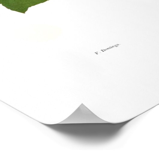 Loofah Poster (Ecke)