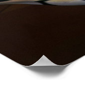 LOOFF CAROUSEL TIGER 1909 POSTER (Ecke)