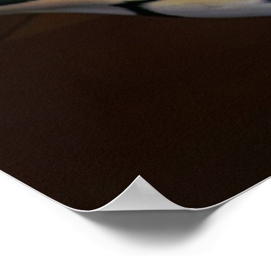 LOOFF CAROUSEL TIGER 1909 POSTER (Ecke)