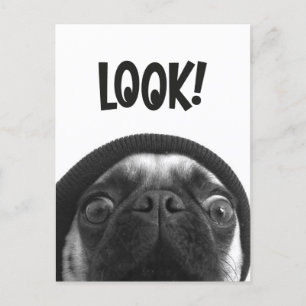 LOOK it's Lola the Pug Postkarte