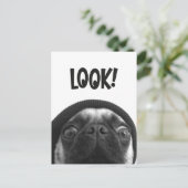 LOOK it's Lola the Pug Postkarte (Stehend Vorderseite)