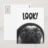 LOOK it's Lola the Pug Postkarte (Vorne/Hinten)