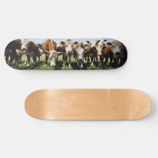 Lookie Here Cowabunga Skateboard (Horizontal)