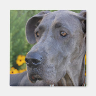 Lookin hübscher Magnet