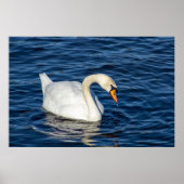 Looking About Poster (Vorne)