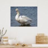 Looking Around Poster (Küche)